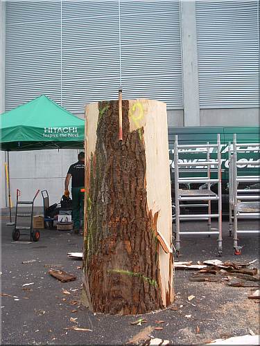  motors�ge kettens�ge schnitzen holzwerker hitachi gafa