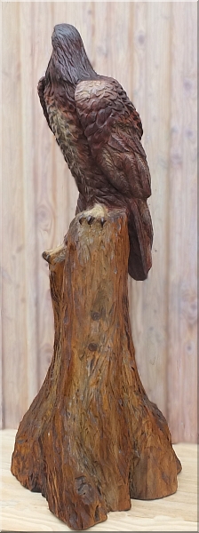  eagle steinadler  motors�genkunst kettens�ge schnitzen jochen adam holzwerker