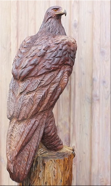  eagle steinadler  motors�genkunst kettens�ge schnitzen jochen adam holzwerker