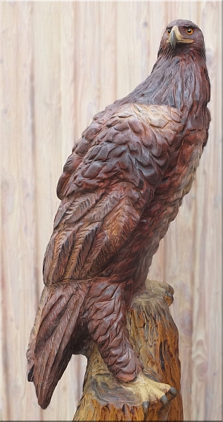  eagle steinadler  motors�genkunst kettens�ge schnitzen jochen adam holzwerker