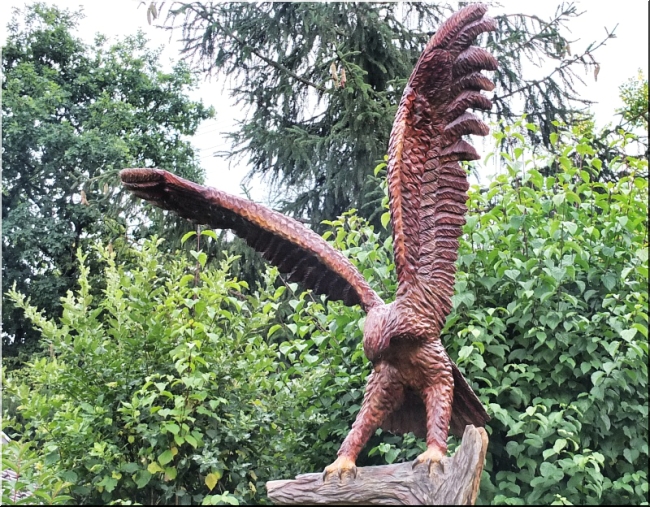  eagle steinadler  motors�genkunst kettens�ge schnitzen jochen adam holzwerker