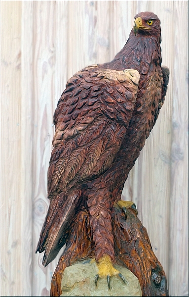  eagle steinadler  motors�genkunst kettens�ge schnitzen jochen adam holzwerker