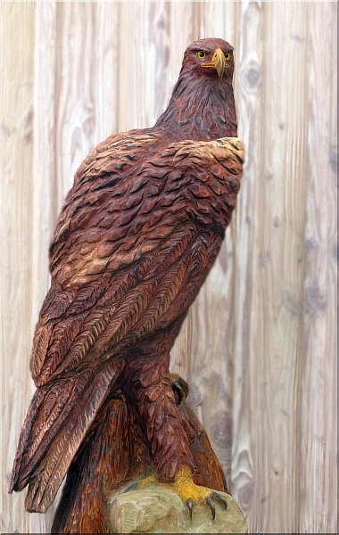  eagle steinadler  motors�genkunst kettens�ge schnitzen jochen adam holzwerker