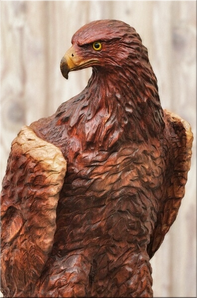 Attila Adler eagle steinadler  motors�genkunst kettens�ge schnitzen jochen adam holzwerker