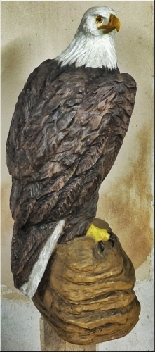 wei�kopfseeadler bald eagle adler   motors�genkunst kettens�ge schnitzen jochen adam holzwerker