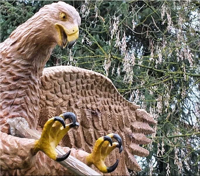 steinadler adler eagle  motors�ge kettens�ge schnitzen jochen adam holzwerker