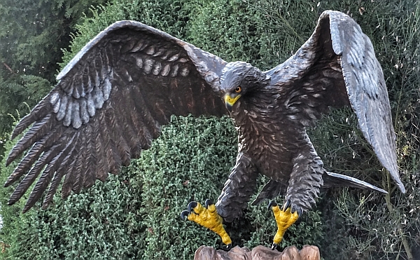 steinadler weinregal lifesize adler eagle  motors�ge kettens�ge schnitzen jochen adam holzwerker