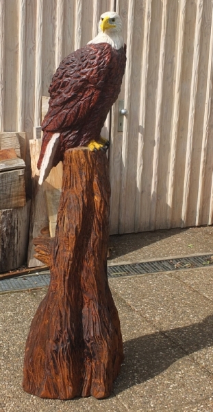 wei�kopfseeadlear  bald eagle lifesize adler eagle  motors�ge kettens�ge schnitzen jochen adam holzwerker