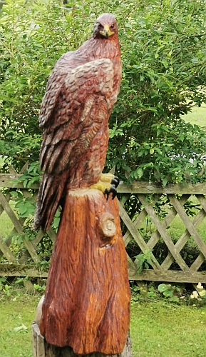 steinadler  lifesize adler eagle  motors�ge kettens�ge schnitzen jochen adam holzwerker