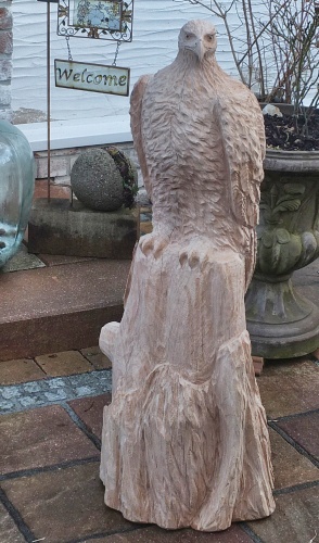 seeadler  lifesize adler eagle  motors�ge kettens�ge schnitzen jochen adam holzwerker