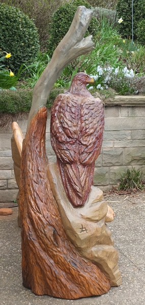 adler bank eaglebank schnitzen motors�ge kettens�gen holz garten jochen adam holzwerker