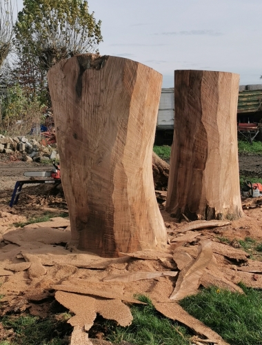 bank eckbank eiche schnitzen motors�ge kettens�gen holz garten jochen adam holzwerker