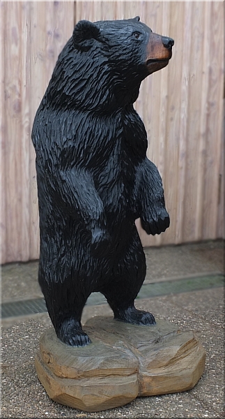 schwarzb�r black bear