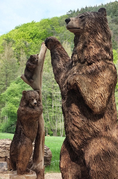 b�r grizzly motors�genkunst kettens�genkunst schnitzen holzwerker jochen adam holz