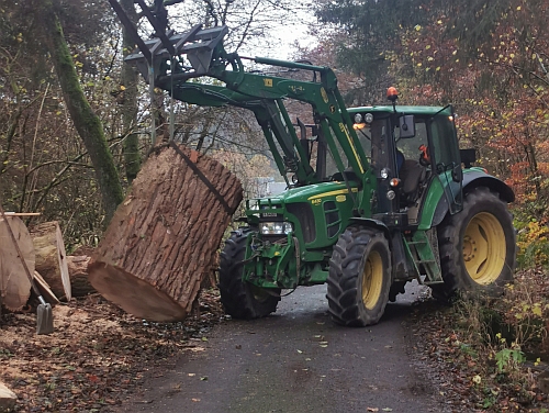 b�r grizzly motors�genkunst kettens�genkunst schnitzen holzwerker jochen adam holz