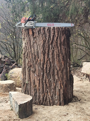 b�r grizzly motors�genkunst kettens�genkunst schnitzen holzwerker jochen adam holz