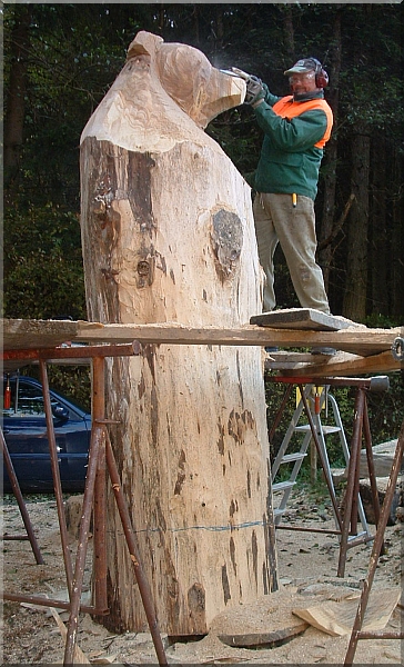 grizzly b�r holzwerker jochen adam schnitzen mit der motors�ge