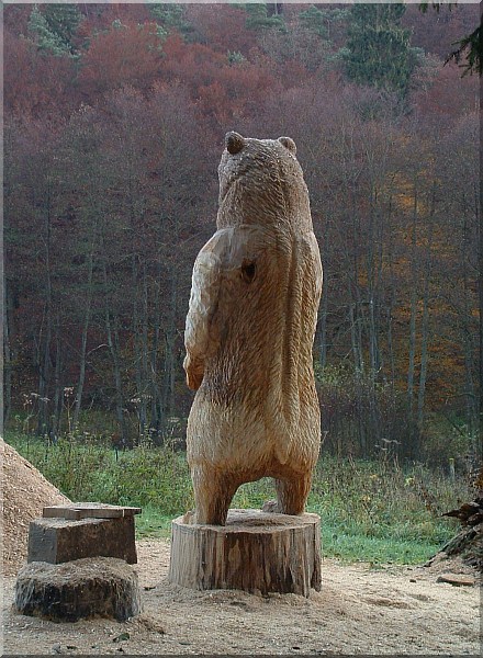 r�ckseite b�r grizzly  holzwerker jochen adam schnitzen mit der motors�ge