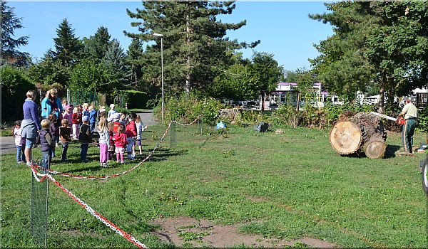 grizzly  b�r holzwerker jochen adam schnitzen mit der motors�ge