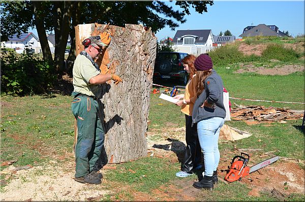 grizzly  b�r holzwerker jochen adam schnitzen mit der motors�ge