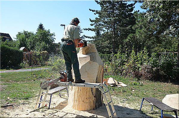 grizzly  b�r holzwerker jochen adam schnitzen mit der motors�ge