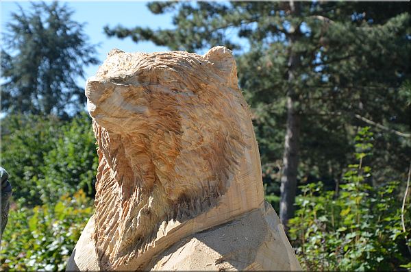 grizzly  b�r holzwerker jochen adam schnitzen mit der motors�ge