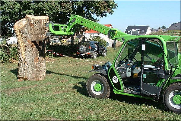 grizzly  b�r holzwerker jochen adam schnitzen mit der motors�ge