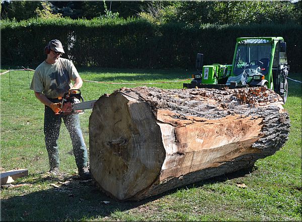 grizzly  b�r holzwerker jochen adam schnitzen mit der motors�ge