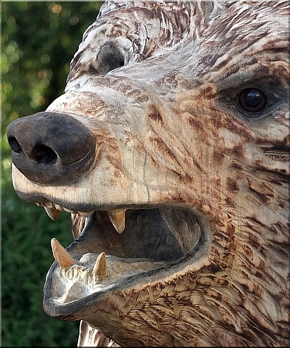 grizzly  b�r holzwerker jochen adam schnitzen mit der motors�ge