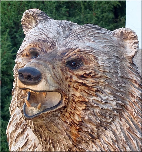 grizzly  b�r holzwerker jochen adam schnitzen mit der motors�ge