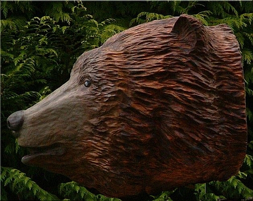  zur�ck zur B�ren - �bersicht