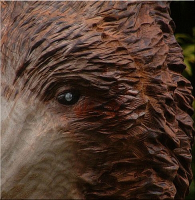  zur�ck zur B�ren - �bersicht