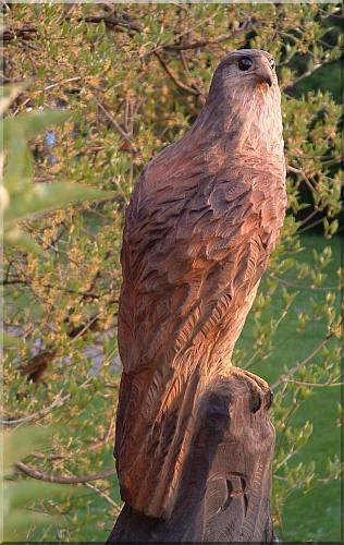 falke falcon holz motors�ge kettens�ge schnitzen kettes�genkunst motors�genkunst holzwerker