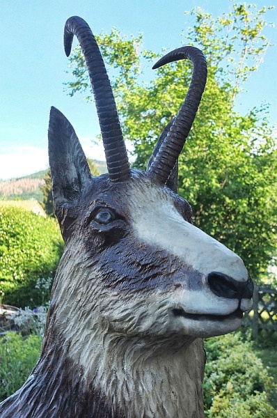 gams g�mse holz motors�ge schnitzen kettens�ge jochen adam holzwerker