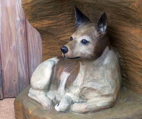 harmonika akkordeon jack russell terrier holz motors�ge kettens�ge schnitzen holzwerker jochen adam 