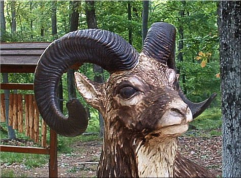 mufflon holz motors�ge schnitzen kettens�ge jochen adam holzwerker