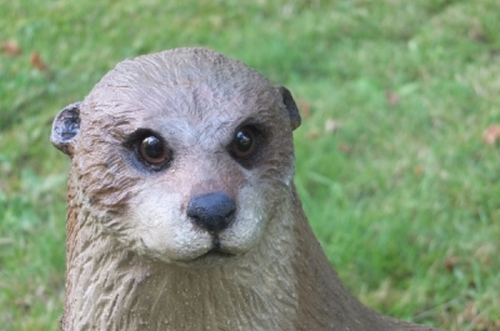 otter fischotter holz schnitzen motors�ge kettens�ge holzwerker carving