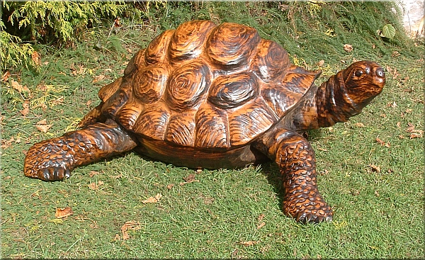 schildkr�te kettens�ge