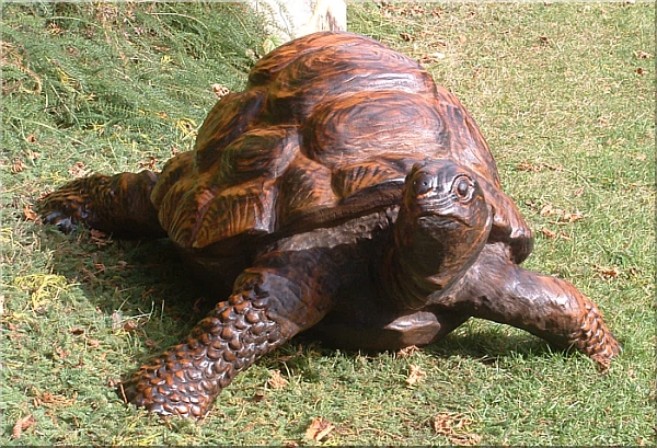 schildkr�te motors�ge