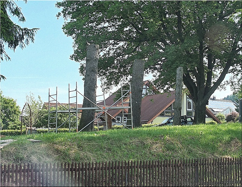 skulpturen holz schnitzen motors�ge kettens�ge geburt leben tod holzwerker