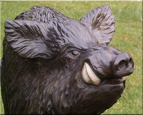 keiler sau wildschwein motors�ge kettens�ge