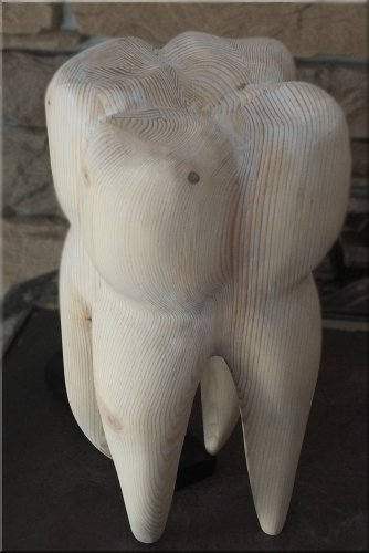 zahn holz schnitzen geschnitzt  motors�ge kettens�ge holzwerker