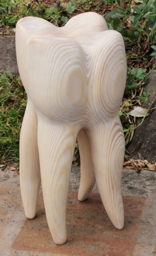 backenzahn zahn holz schnitzen geschnitzt  motors�ge kettens�ge holzwerker