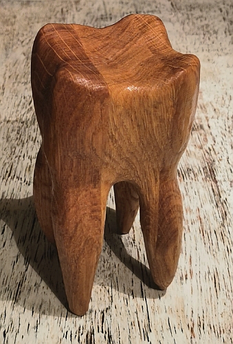 zahn holz schnitzen geschnitzt  motors�ge kettens�ge holzwerker