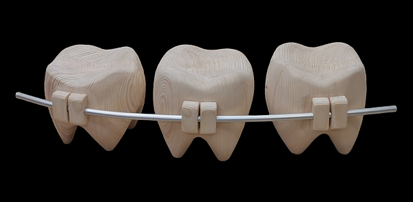 zahnspange holz motors�ge kettens�ge schnitzen kettes�genkunst motors�genkunst holzwerker