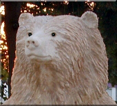 b�r schnitzen motors�ge holzwerker